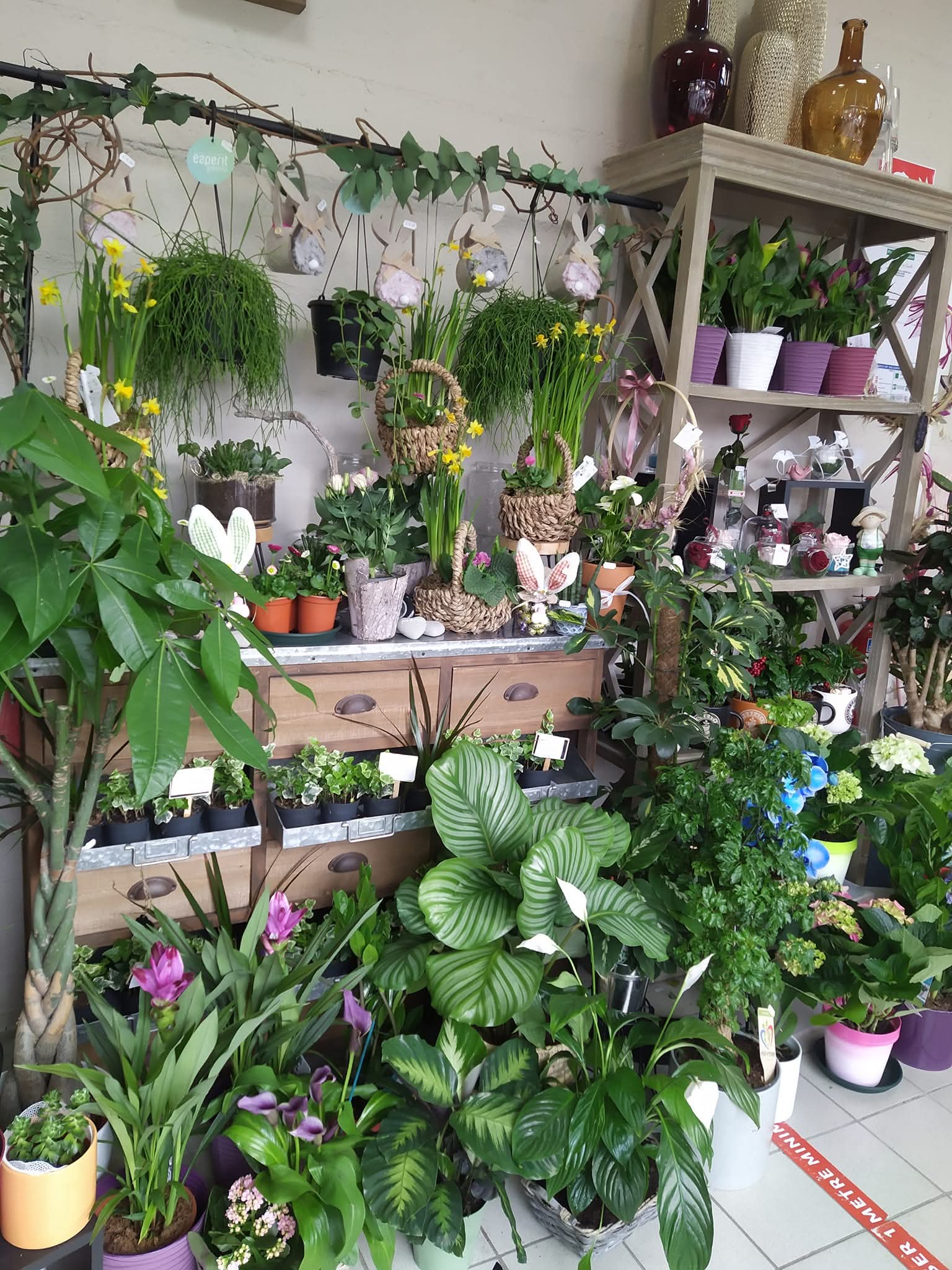 À vendre, charmante boutique de fleurs idéalement située à Menucourt (95), bénéficiant d’un emplacement attractif et d’une clientèle fidèle.

Le local, d’une surface de 51 m², est parfaitement agencé et fonctionnel, permettant une reprise immédiate de l’activité sans travaux à prévoir. L’espace de vente est agréable, lumineux et propice à la mise en valeur des compositions florales.

L’activité est établie depuis plusieurs années avec une clientèle régulière, offrant une base solide pour continuer et développer le chiffre d’affaires.

💶 Loyer + charges : 1100 € HT / mois
💰 Prix du fonds de commerce : 50 000 €

👉 Cause de la vente : départ à la retraite

Belle opportunité pour un(e) professionnel(le) ou une personne passionnée souhaitant se lancer dans un projet clé en main avec un fort potentiel de développement.

📞 Pour plus d’informations ou organiser une visite : 07 87 67 60 10