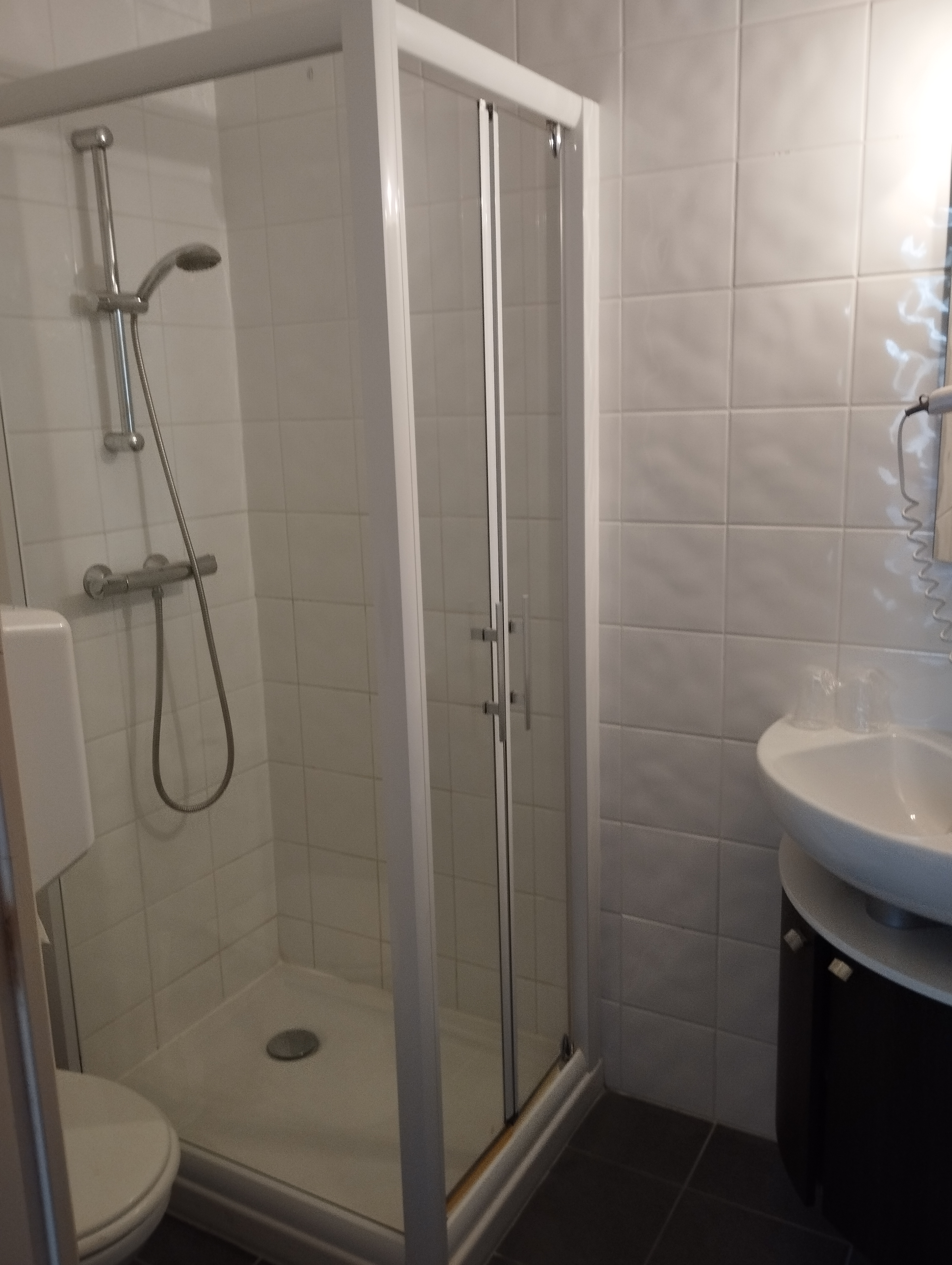 situé au coeur du brionnais, à proximité de charlieu, l'auberge a 9 chambres avec salles d'eau et wc individuels, 450 m2 de surface avec un appartement de 80 M2, une cour,150 M2 de dépendances,