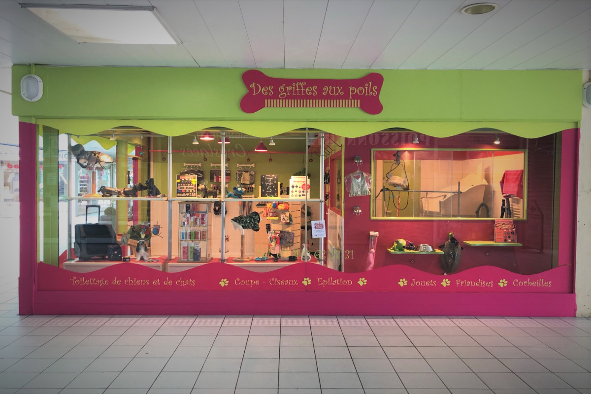 Salon de toilettage pour animaux  à vendre