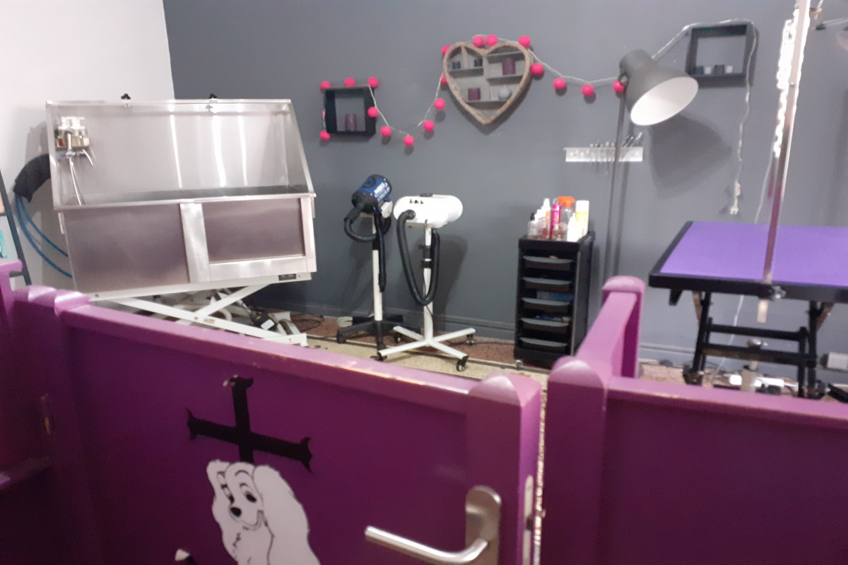 Vend fond de commerce  !! Local 82 m2, agencé en plusieurs pièces 
Loyer 850 euros 
Actuellement salon de toilettage mais toutes activités possible !