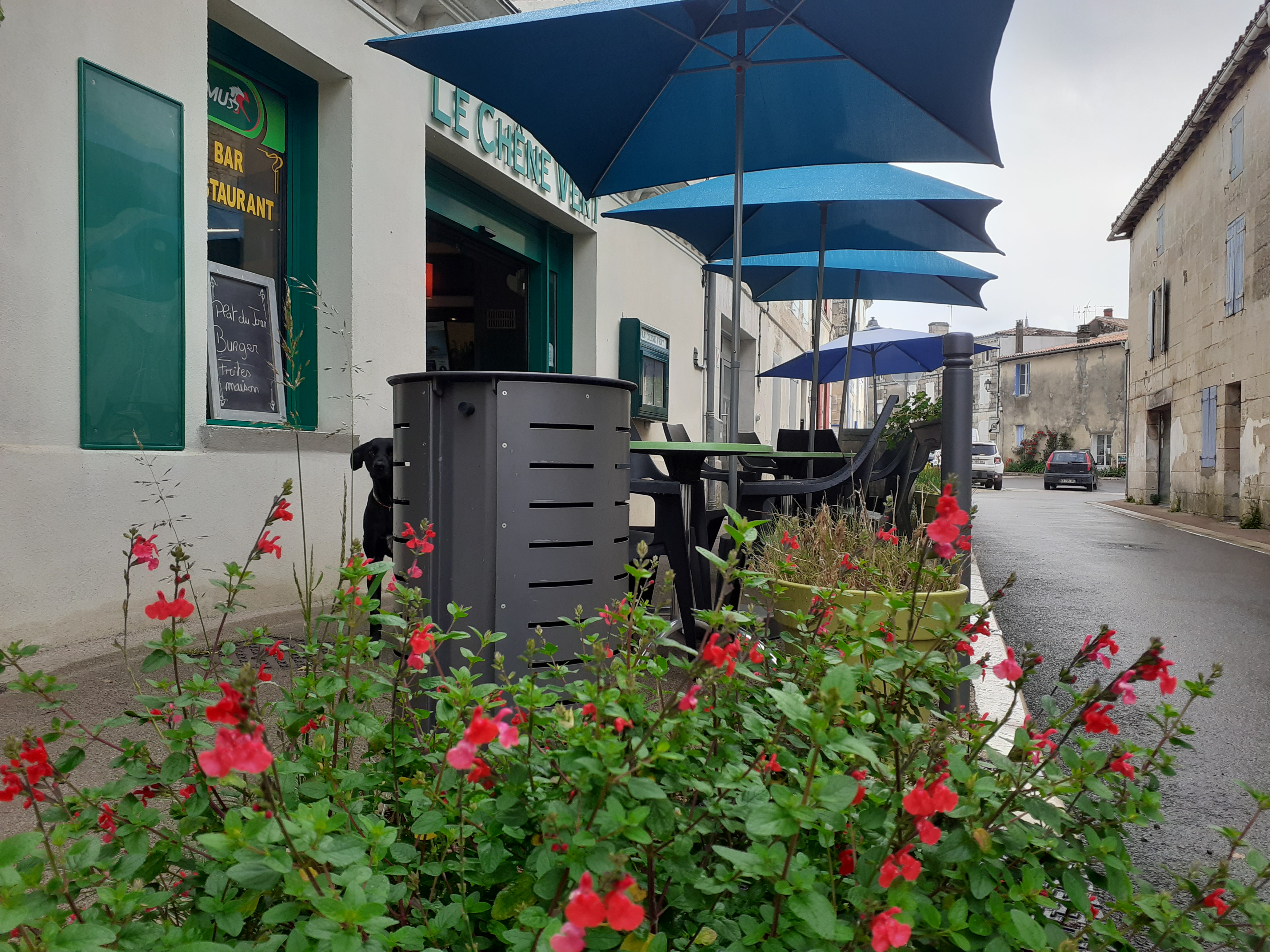 Belle affaire au cœur du marais poitevin 2 sale une de 80 personnes et 25 personne plus une terrasse patio de 30 personnes pmu et française des jeux