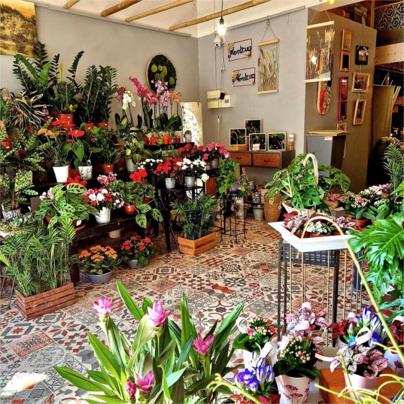 𝐒𝐮𝐢𝐭𝐞 𝐚̀ 𝐮𝐧 𝐝𝐞́𝐬𝐢𝐬𝐭𝐞𝐦𝐞𝐧𝐭 𝐩𝐨𝐮𝐫 𝐫𝐚𝐢𝐬𝐨𝐧 𝐟𝐚𝐦𝐢𝐥𝐢𝐚𝐥𝐞 𝐦𝐚 𝐛𝐨𝐮𝐭𝐢𝐪𝐮𝐞 𝐞𝐬𝐭 𝐭𝐨𝐮𝐣𝐨𝐮𝐫𝐬 𝐚̀ 𝐯𝐞𝐧𝐝𝐫𝐞. 𝐓𝐫𝐞̀𝐬 𝐛𝐨𝐧𝐧𝐞 𝐚𝐟𝐟𝐚𝐢𝐫𝐞!

MONTCUQ (46800)

Après des années de passion et de dévouement, je m'apprête à prendre ma retraite et à passer le flambeau de ma boutique de fleurs.

Cède fonds de commerce fleuriste, établi depuis 2006. Bénéficiant d'une excellente réputation, ce commerce bénéficie d'une clientèle fidèle et d'un emplacement stratégique sur un axe passant sur la commune de Montcuq (46)

Le local sur 60 m², avec une mezzanine de 20 m² offrant un espace supplémentaire pour l'exposition de produits ou le stockage est en parfait état et dispose d'un parking facilitant l'accès. Le matériel entretenu permet une reprise clé en main.

Activité fiabilisée qui assure un chiffre d’affaire stable depuis plusieurs années. L’exploitation est porté par la seule gérante.

Une opportunité idéale pour reprendre une entreprise saine, où vous pourrez exprimer votre savoir-faire et votre créativité.

Le fonds est cédé sans aucun contrat salarié en cours

Accompagnement possible par la cédante, par la Chambre des Commerces et de L'Industrie et par la Chambre des Métiers et de l'Artisanat.

Amis(es) fleuristes, si vous vous voulez changer d'air, ouvrir une seconde boutique, vous êtes salariés (ées) et vous voulez voler de vos propres ailes, ma boutique est la vôtre.
Prix très intéressant à débattre
Pour plus de renseignements veuillez me contacter

Téléphone : 0565229641 ou 0685157976