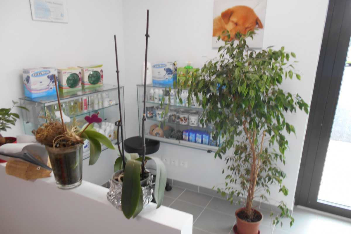Pour raison de santé a vendre salon de toilettage, ventes accesoires ouvert en 2014 .Une surface de 60m² repartit en 2 parties de 27m² et environ 6 m² petite reserve et toilette. Avec une clientèle fidèles et régulières Chiffre d?affaires en constante évolution.
Ideallement situé  au centre de toutes villes alentours   et etant desservie par la voie rapide rouen dieppe,ce qui permet de recevoir la clientele de rouen, dieppe, yvetot, yerville, duclair, barentin et le plus loin darnetal. Idealement situé sur parking grande surface, gros potentiel, Développement possible alimentation ect... , très bonne
 clientèle fidelisée (fichier de 1200 clients ). Materiel une grande table electrique, une petite table electrique, une baignoire electrique, grande cabine de sechage, aucun frais a prevoir, 

Les locaux sont neuf de mars 2020.