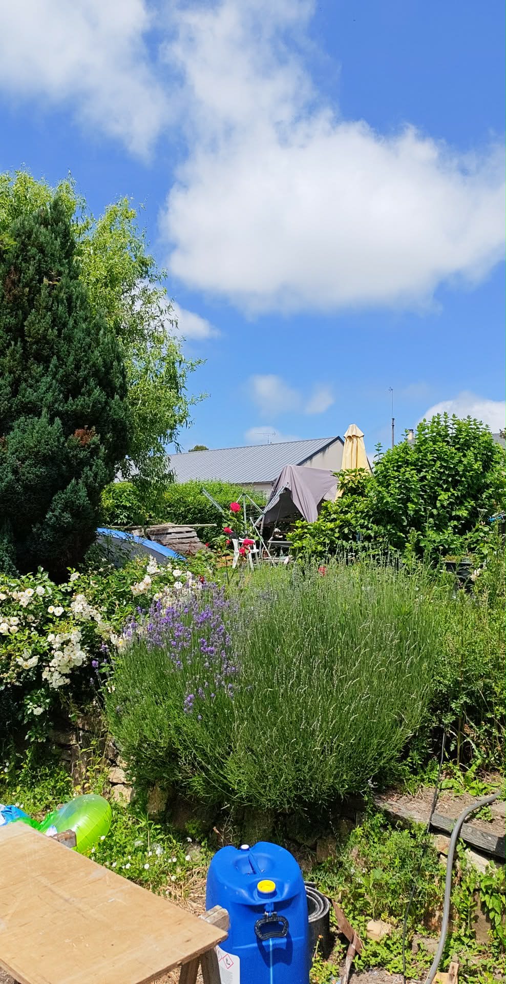 Dans un petit village de Normandie a 20 km du Mont St Michel 
Manche (50) : Dans une commune de la région d'Avranches (50300), sur un axe routier passager, à vendre un fonds de commerce de supérette, relais poste, presse, dépôt de pain  et de.gaz, retrait Crédit Agricole , fleurs, retouches,  traiteur.

Locaux composés d'un magasin d'une surface d'environ 55 m², d'une réserve  et d'un laboratoire.

Parking devant l'établissement.

Logement t4 à l'étage (possibilité de l'occuper ou de le sous-louer). Avec un terrain de 500 M2 clôturé sur l arrière.


Affaire pouvant convenir à une ou deux  personne .  Développement française des jeux et tabac. 

Prix net vendeur de 80 000 € + 7 % TTC (5,83 % HT) des honoraires d'agence à la charge de l'acquéreur.
Surface commerciale : 55 m²
Surface totale : 100 m²

Points fort :
- Un axe passager.
- Stationnement.
- Logement.

Loyer mensuel : 832 € HT hors charges
Logement de fonction présent : oui