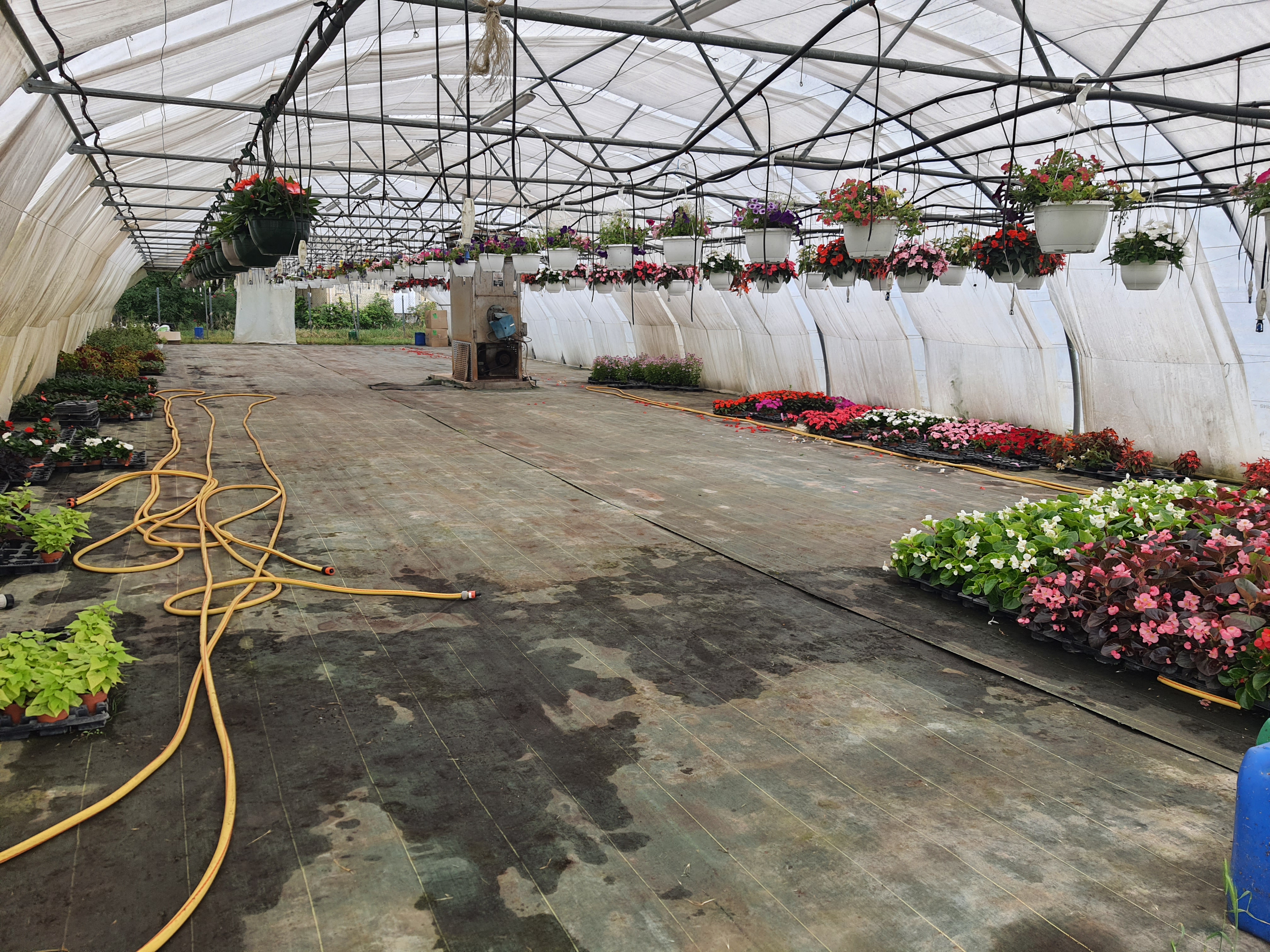 Vente (FDC + murs) commerce horticole, jardinerie et fleuriste cause retraite 

Bel ensemble composé d’un magasin, d’un parking, de serres verres, de tunnels plastiques et de terres agricoles pour une surface totale d’environ 5500 m².
Entreprise centenaire avec bonne rentabilité, pérenne, un bon CA stable et une clientèle fidèle !

Nous avons développé notre offre et nos services avec la création de la boutique de fleurs et la vente de légumes d’été en direct. Cela nous a permis de d’avoir une activité rentable tout au long de l’année. 

Fleurs coupées et compositions florales pour tous les évènements (mariage, deuil), plants de fleurs, plants de légumes et aromatiques, pépinières et arbustes, plantes d’intérieur, terreau et légumes prêt à manger. Notre diversité fait la force de notre commence !

Nous n’affichons pas de chiffres et de rentabilité volontairement, nous remettrons l’ensemble de ces éléments à la suite d’une première prise de contact.

Contactez-nous pour plus de renseignements et n’hésitez pas à venir voir notre affaire !

Les informations sur les risques auxquels ce bien est exposé sont disponibles sur le site Géorisques : www.georisques.gouv.fr.

Prix de vente : 460 000 €
Précision sur le prix de vente : Fonds de commerce + Murs
Prix de vente des murs : 240 000 €