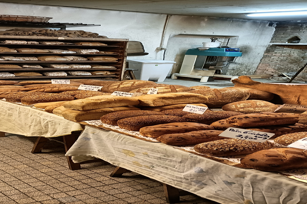 Boulangerie près de st émilion,  pour couple ou célibataire.
 Fabrication de pains au levain et pains spéciaux.
Très bon chiffre d'affaire.