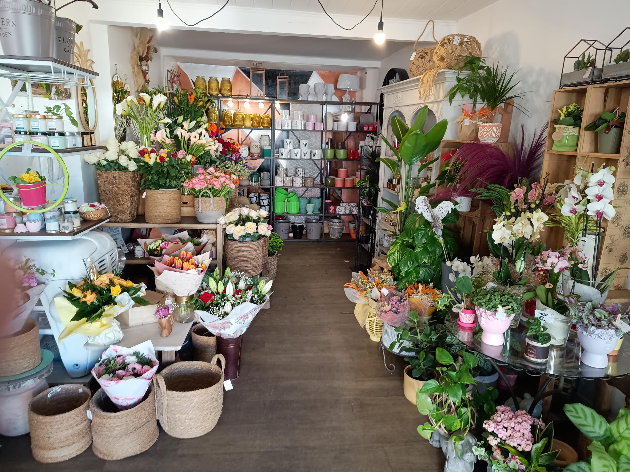 Je vends mon fonds de commerce de Fleuriste et accessoires de décoration.

La boutique existe depuis plus de 30 ans, idéalement située au cœur d’un village attractif de 2 300 habitants.

Au centre du village, avec tous les commerces à proximité, écoles, bureau de tabac, presse, boulangerie, bar, restaurant, banque, assurance, vêtements… stationnement gratuit sur la grande place arborée et touristique en face.

La boutique bénéfice d’une clientèle fidèle et d’un passage obligatoire devant la devanture de 8 mètres avec large trottoir pour exposition des fleurs, des compositions, plantes….

Boutique chaleureuse de 30 m2, d’une réserve de 6 m2 et d’une cave de 20 m2, prête à travailler immédiatement, aucuns travaux urgents à prévoir. La remettre à votre goût éventuellement (possibilité de réduire la réserve à 3 m2 et d’augmenter la taille du magasin d’environ 10 m2..

Je travaille avec 1 apprentie.

Activité diversifiée : fleurs coupées, compositions florales, plantes, articles décorations et cadeaux, bijoux fantaisie, sacs et cabas…

Partenariats avec les Pompes funèbres locales et les professionnels des évènements, adhésion au réseau Florajet.

Potentiel de développement : ateliers floraux, livraison, partenariats avec professionnels et mairies, e-commerce…

Petite présence sur les réseaux Facebook et Instagram.

Prix de cession : 48 K€