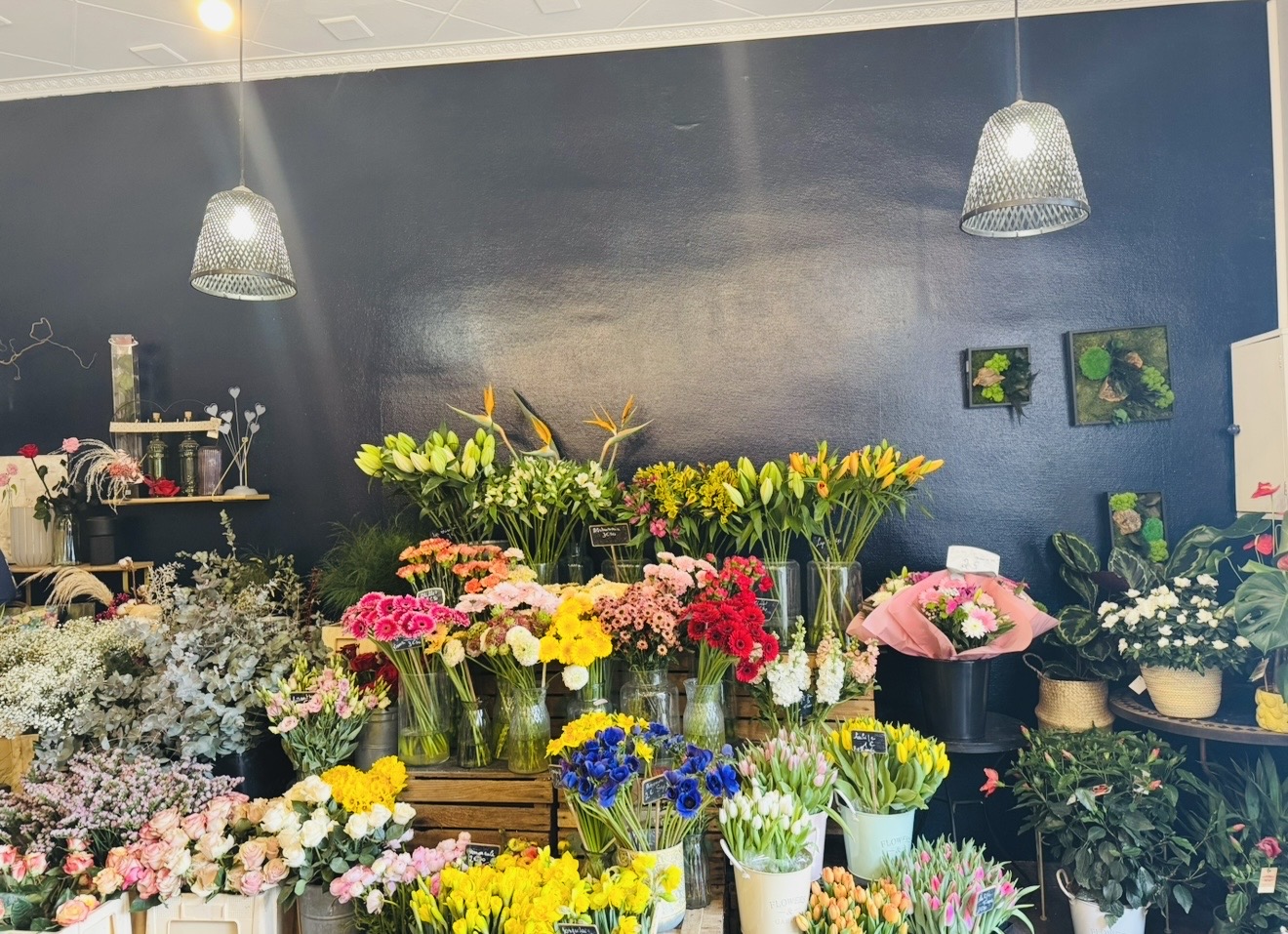 Une belle opportunité pour reprendre un commerce de proximité apprécié et poursuivre une activité florissante dans un cadre de vie agréable.  Situé au cœur de Cessenon-sur-Orb, charmant village dynamique, ce magasin fleuriste bénéficie d’un emplacement idéal avec une clientèle fidèle et agréable, construite au fil des années.  Ce magasin charmant, parfaitement entretenu et prêt à poursuivre son activité sans travaux, dispose d’une belle visibilité grâce à sa vitrine attractive et son joli extérieur qui attire naturellement l’attention des passants.  L’activité est reconnue localement et offre encore de belles perspectives de développement : évènementiel, mariages, décoration florale, livraisons ou partenariats avec les professionnels du secteur.  Les points forts: - Emplacement idéal au cœur du village • Clientèle fidèle et régulière • Commerce prêt à être exploité immédiatement • Activité reconnue localement  • Fort potentiel de développement • Joli extérieur et boutique pleine de charme • Accompagnement possible lors de la reprise  Conditions de reprise: - Surface commerciale : 35 m² • Bail commercial 3/6/9 • Loyer mensuel : 656€ ttc charges comprises  • Matériel et agencements professionnels inclus • ⁠Prix de vente du fonds de commerce: 49.000€  Une belle affaire pour une personne souhaitant s’installer, développer son activité ou tout simplement poursuivre une aventure commerciale déjà bien implantée dans la vie du village.  Pour plus de renseignements ou pour organiser une visite, n’hésitez pas à nous contacter. Ne passez pas à côté de cette belle opportunité !

Localisation

Cessenon-sur-Orb (34460)