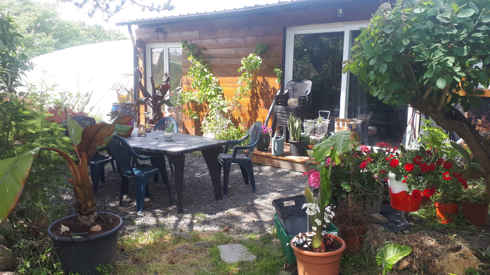 🌸 FERME HORTICOLE 🌸

Sur terrain arboré clos de 2800m² : 3 serres de 1500m² + 1 maison de fonction de 95 m² (wc + sbd + salon / séjour / cuisine ouverte + 2 chambres + 1 bureau  ---  possibilité d'agrandissement)

Situé sur la commune de LES ORMES (86220) 
20 km au sud de Ste Maure de Touraine
20km au nord de Chatellerault

Activités : production de plants de fleurs vivaces et annuelles, production de plantes aromatiques et médicinales, production de plants de légumes sous label Agriculture Biologique, petite production maraichère
Paysagerie : création et entretien de jardin / espaces végétalisés, Tonte, Elagage et travail en hauteur, Taille de fructification et d'ornement, entretien de sépultures etc...

Le montant inclus :
Le terrain avec les serres et la maison de fonction
Le droit de vente en direct à la serre et sur les marchés locaux.
Camion Iveco avec hayon + barnums / tables
Matériel horticole + irrigation + poterie + stock de plantes + outillage divers
Site internet vitrine (possibilité de le rendre marchand) + ligne professionnelle
Le label Agriculture Biologique sur les plants de légume et la partie maraichage.