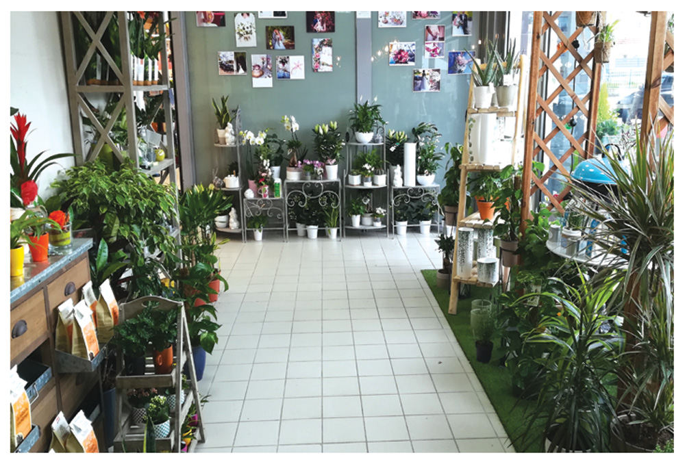 À vendre, charmante boutique de fleurs idéalement située à Menucourt (95), bénéficiant d’un emplacement attractif et d’une clientèle fidèle.

Le local, d’une surface de 51 m², est parfaitement agencé et fonctionnel, permettant une reprise immédiate de l’activité sans travaux à prévoir. L’espace de vente est agréable, lumineux et propice à la mise en valeur des compositions florales.

L’activité est établie depuis plusieurs années avec une clientèle régulière, offrant une base solide pour continuer et développer le chiffre d’affaires.

💶 Loyer + charges : 1100 € HT / mois
💰 Prix du fonds de commerce : 50 000 €

👉 Cause de la vente : départ à la retraite

Belle opportunité pour un(e) professionnel(le) ou une personne passionnée souhaitant se lancer dans un projet clé en main avec un fort potentiel de développement.

📞 Pour plus d’informations ou organiser une visite : 07 87 67 60 10