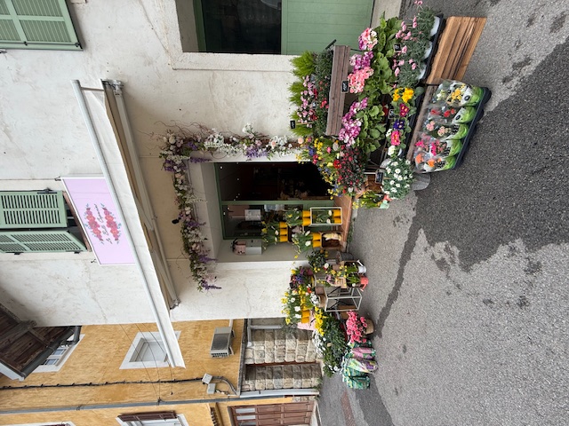 Vente pour cause de santé commerce de village