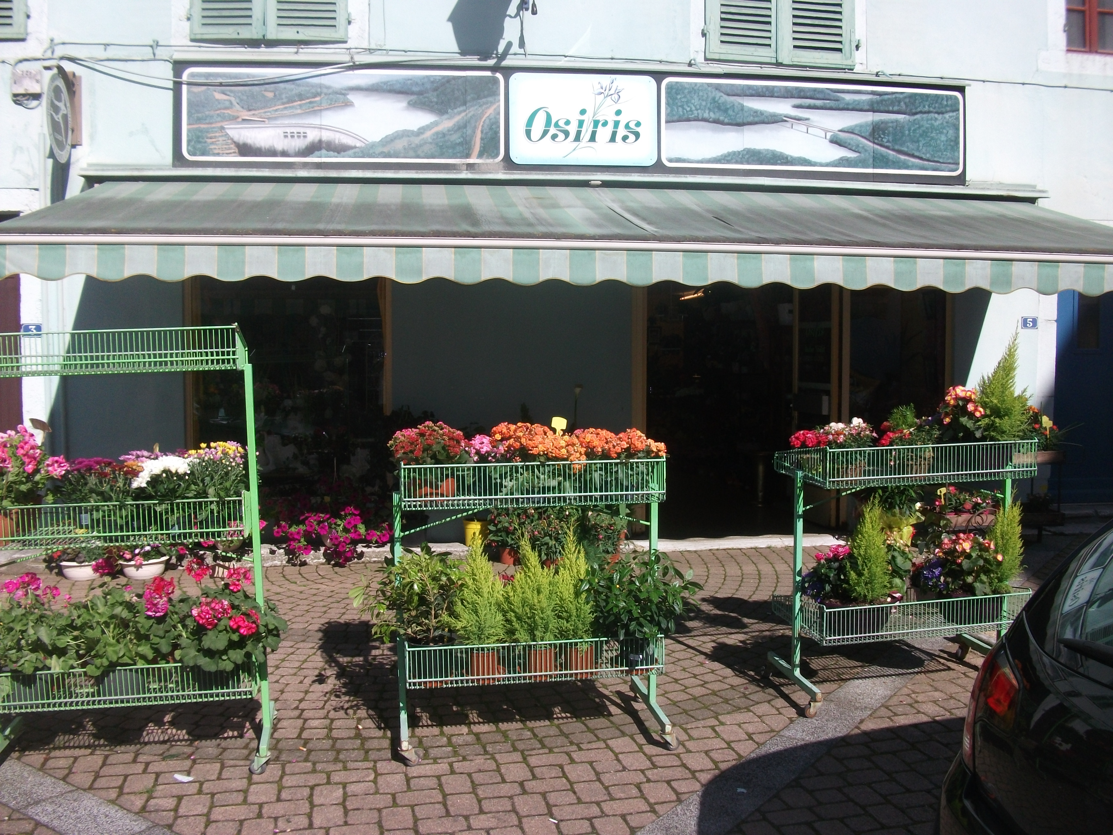 Vends fond de commerce "fleuriste" à Moirans en montagne jura  45000 EURO
Emplacement idéal car en plein centre ville dans rue commerçante avec parking
publique tout autour.
Tenu depuis 29 ans cède pour cause de départ en retraite.
Magasin comprenant:
Surface de vente 60 m2 avec tout le mobilier. Agencement fonctionnel.
Atelier de 30 m2 comprenant un coin bureau, toilette séparé et évier , cumulus et
placard mural.
Reserve de 6 m2 avec chambre froide . Indispensable l 'été.
2 Vitrines
Loyer de 590 euro par mois.
Clientèle fidèle
Possibilité de développer le CA