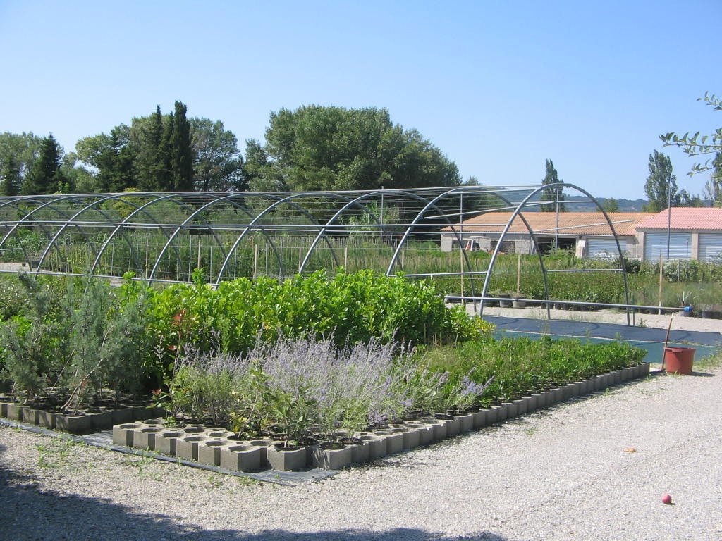 PROCHE NYONS

Vente SARL : Pépinière, Jardinerie, exploitant producteur

Superficie de l'exploitation : 4,6Ha

affaire exploitée par les vendeurs depuis 40 ans

Motif de la vente : Retraite

Très bon CA en augmentation,
affaire non touchée par Covid

Prix HAI : 359.500 ?

La valeur du stock lors de la vente sera d'environ : 150.000 ?

Loyer : 1.000 ?/ mensuel
Bail neuf