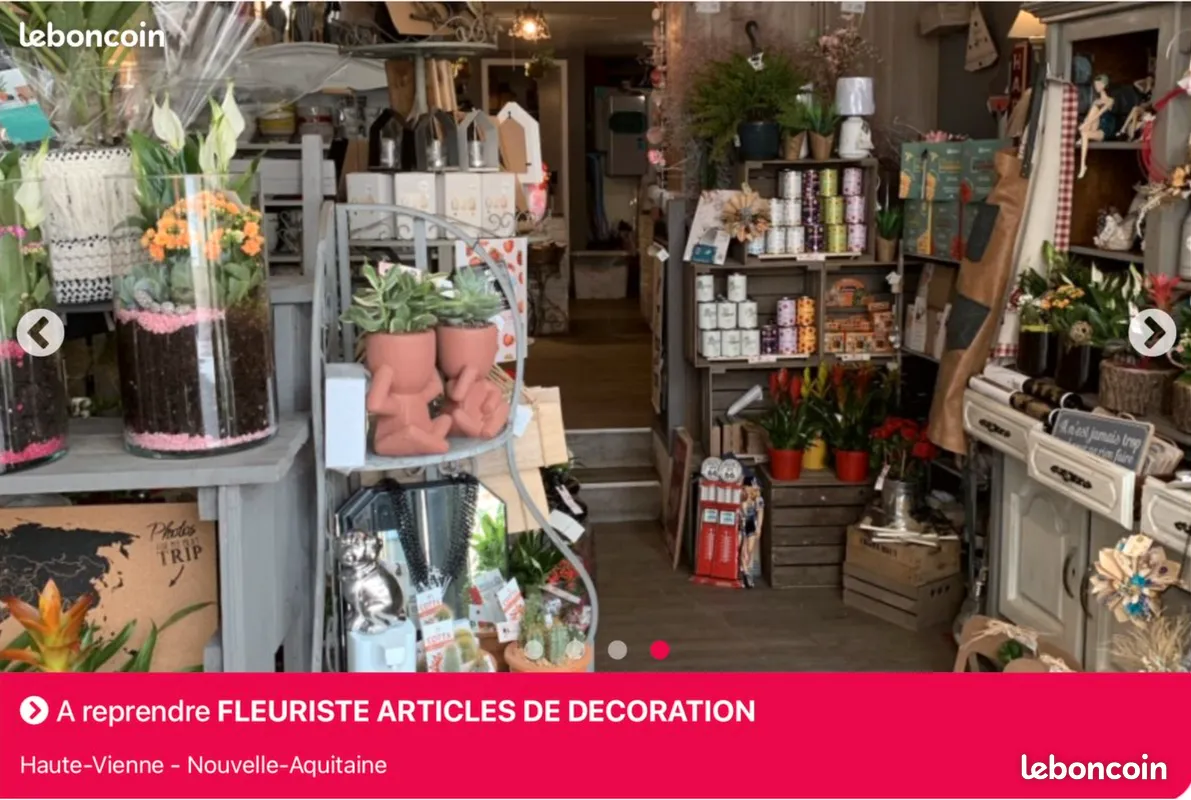 Fond de commerce Fleuriste et décoration