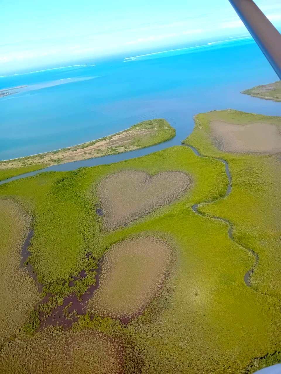 🚀 Imaginez reprendre cette boutique, au bord du plus grand lagon du monde, classé patrimoine de l’UNESCO.
Nouvelle-Calédonie : une destination unique où le rêve d’entreprendre rencontre la douceur du Pacifique.

✨ BIENVENUE À KONÉ – Le cœur administratif et économique de la Province Nord ✨

💼 Un emplacement stratégique pour votre commerce
📍 En plein centre-ville
📍 Face à la mairie
📍 À côté de la Société Générale
📍 Un fort passage et une visibilité maximale

🔹 Un commerce à exploiter selon votre vision :
🛠 Réparation téléphonique : un service essentiel, forte demande locale
📒 Papeterie et cadeaux : un commerce de proximité indispensable
📈 Un fort potentiel d’évolution pour les entrepreneurs ambitieux

🏝 Qualité de vie exceptionnelle
✅ KONÉ, capitale de la Province Nord, allie dynamisme économique et cadre de vie unique
✅ Écoles, collèges, lycées et même Université : une opportunité idéale pour s’installer en famille
✅ Entre terre sauvage, lagon turquoise et hospitalité locale, ici, travail et bien-être vont de pair

🔥 Envie d’un projet rentable dans un cadre idyllique ? 
Ce commerce n’attend que vous pour lui donner un nouvel élan.

📩 Contactez-moi dès maintenant pour en savoir plus et concrétiser votre projet entrepreneurial en Nouvelle-Calédonie !