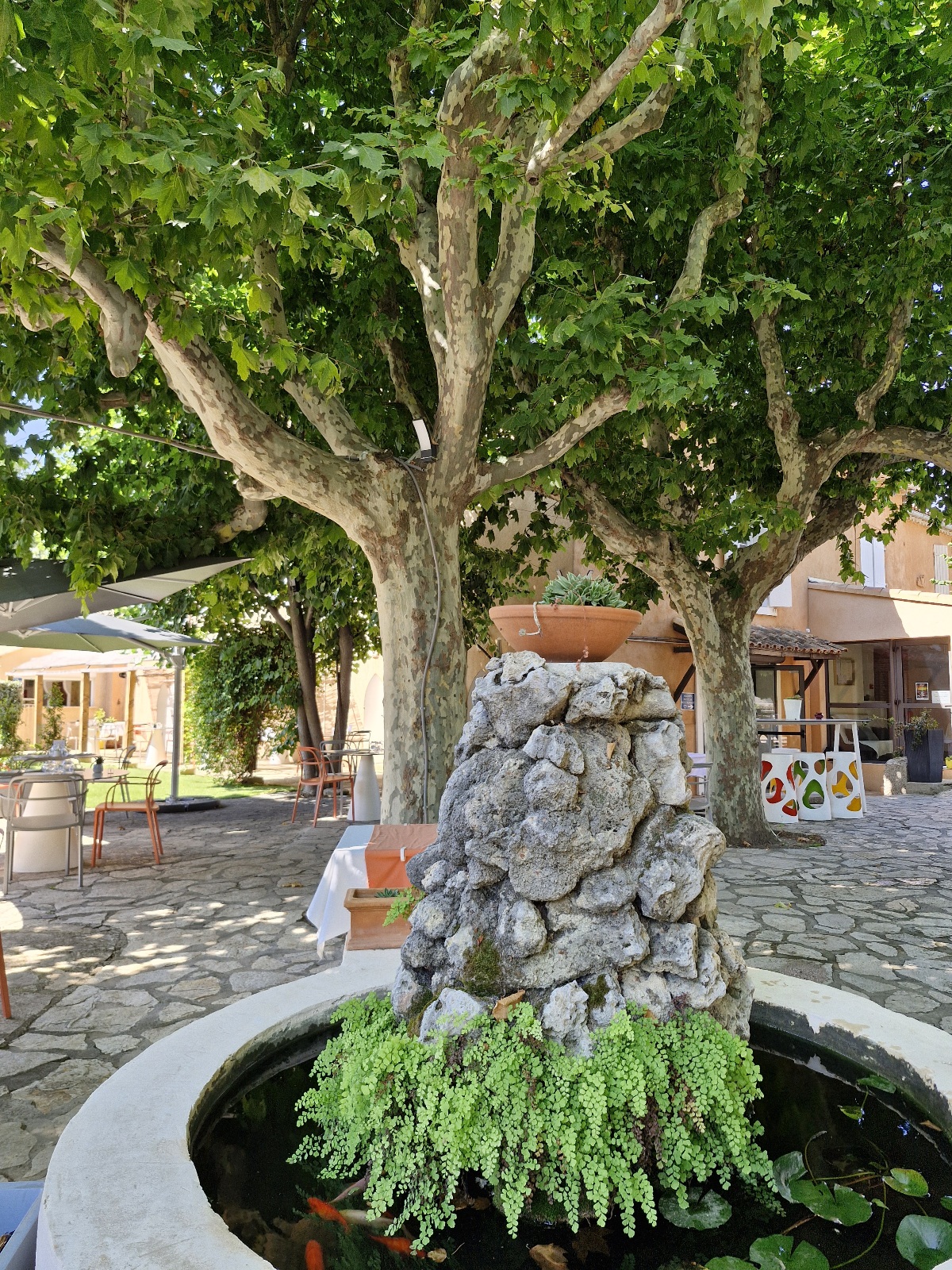 Description
vends restaurant +hôtel 10 chambres classé 2 étoiles.
région paca Var dans bourg dynamique avec tout commerces.
Etablissement tenu depuis 12 ans, cuisine de marché, belle clientèle locale, touristique et étrangère.
Situé à quinze minutes des plages de bandol et Sanary sur mer, 15 minutes du circuit Paul Ricard.
Etablissement bien équipé, aux normes. piscine, parking et jardin sur terrain clos de 3000 m2 offrant un cadre agréable et paisible . Bail 3/6/9.
Cuisine fonctionnelle et conforme aux normes en vigueur.
Visite uniquement sur rendez vous.
Pour tous renseignements nous contacter.