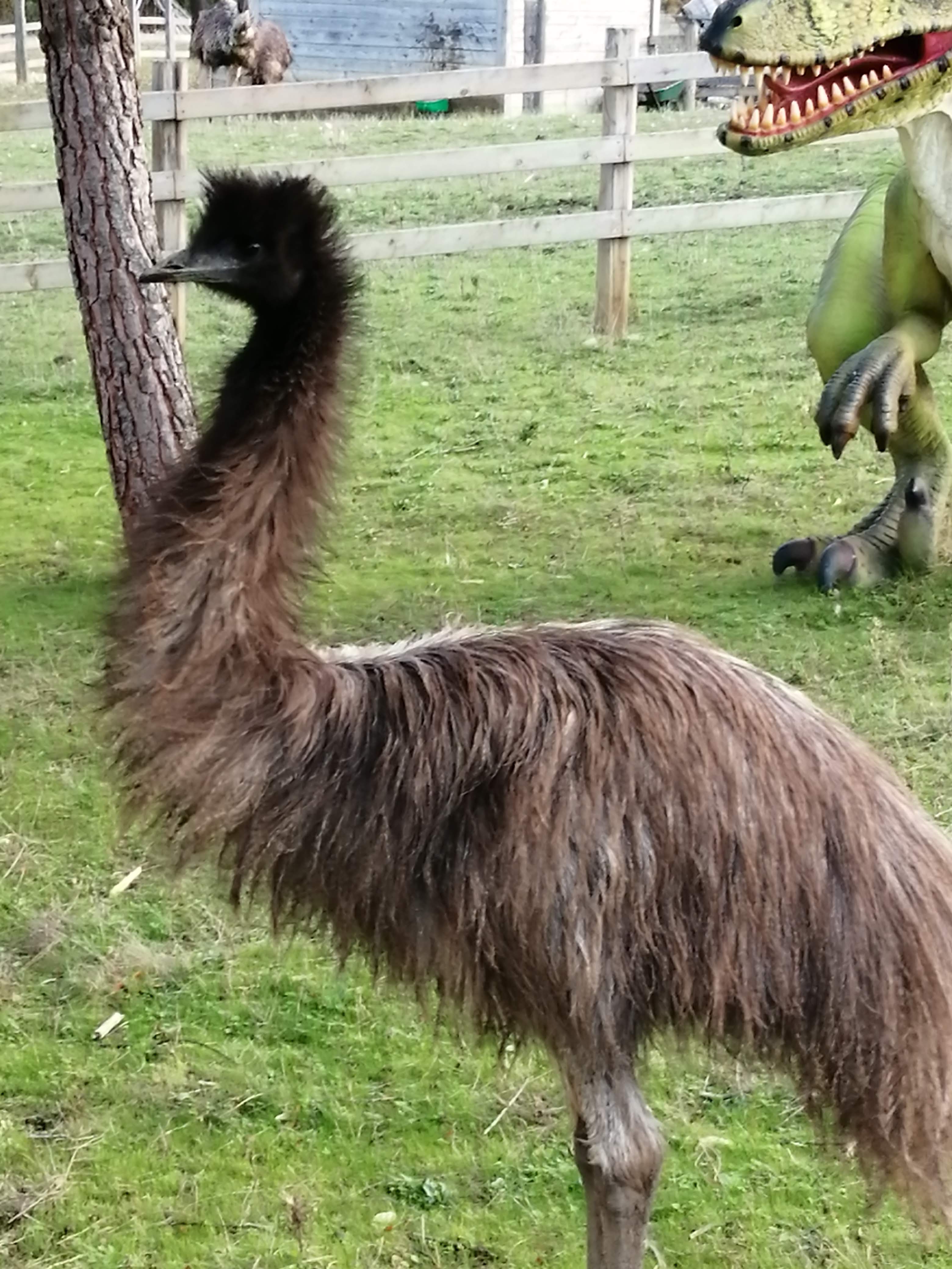 Cherchons repreneur pour un parc animalier sur le thème de l'Australie. Le parc reçoit 7000 visiteurs en moyenne par an avec une évolution constante du chiffre d'affaire. Le projet peut être repris tel quel ou aménagé pour du logement insolite. Le lieu dispose d'une surface de 4 ha entièrement clôturé, normes ERP, bâtiment d'accueil, snack et sanitaires, bâtiments de fonctions, aire de jeux, trampoline et bac à sable paléontologique, maison d'habitation récente de 140 m² avec piscine. Nous ne traiterons que les demandes sérieuses avec un capital d'investissement individuel conséquent.