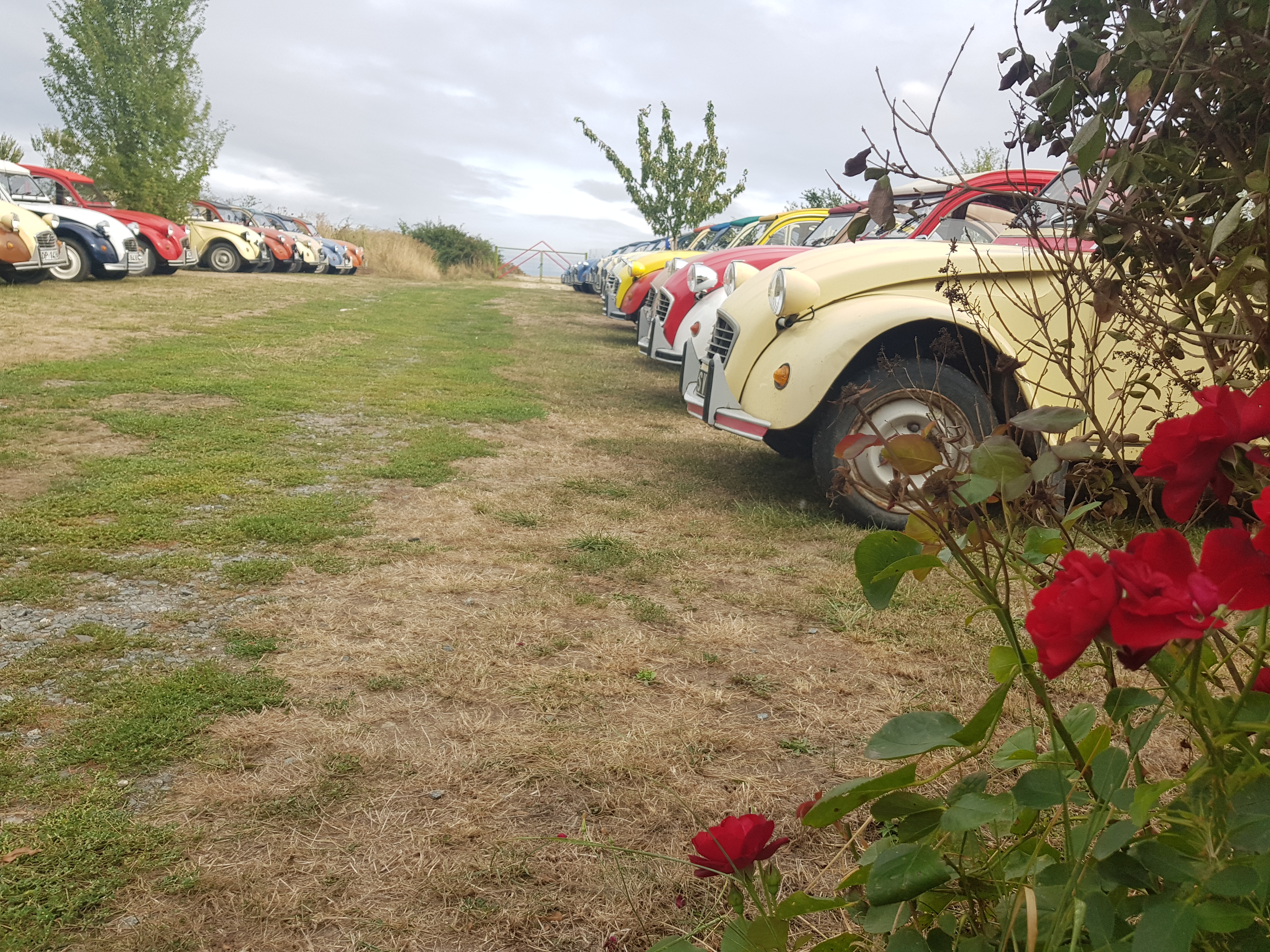Située au cœur d'une région touristique, à 1 h de Paris, cette entreprise de plus de 15 ans spécialisée dans l'organisation sur-mesure de rallyes en 2CV Citroën, entreprise à fort potentiel de développement, bénéficie d'une excellente réputation.
L'originalité de cette entreprise s'appuie sur l'organisation, la coordination d'événements, de rallyes originaux, thématiques au volant de la mythique, indémodable et célèbre la 2CV Citroën, la plus populaire des décapotables française.
La clientèle est composée de particuliers (enterrement de vie de jeune fille, enterrement de vie de garçon, cousinade, réunions de familles, anniversaires, sorties entre amis ...), de sorties de CSE, et de sorties d'entreprises avec l'organisation de séminaires de A à Z, de team-buildings ...

POINTS FORTS
•	activité clé en main et immédiatement exploitable dans une région à fort potentiel à 1 h de Paris,
•	flotte de véhicules entretenus régulièrement,
•	nombreux partenaires locaux rigoureusement sélectionnés (hébergements, restaurant, traiteurs, sites de réception, sites touristiques, activités complémentaires ...)
•	rallyes questions variés, fonctionnels / exploitables de suite,
•	activité fédératrice pour petits et grands / transgénérationnelle,
•	clientèle existante (particuliers et entreprises),
•	entreprise pionnière des rallyes en 2CV en France à 1h de Paris,
•	accompagnement possible pour la reprise.

CE PRIX COMPREND
•	10  2CV, lot de pièces détachées avec véhicule complet
•	un nom commercial référencé auprès de diverses agences nationales: de voyages, réceptives et de communication,
•	un site internet référencé,
•	un listing clientèle d'entreprises qui nous ont fait confiance et qui ont été satisfaits de nos prestations,
•	des principes de chasses au trésor, jeux de piste, jeux thématiques, rallyes questions en français, anglais, espagnol,
•	des devis et réservations validés pour l'année en cours, magnétiques de véhicules,
•	road-books et énigmes clés en main, principes de chasses au trésor,
•	divers matériel d'animation.