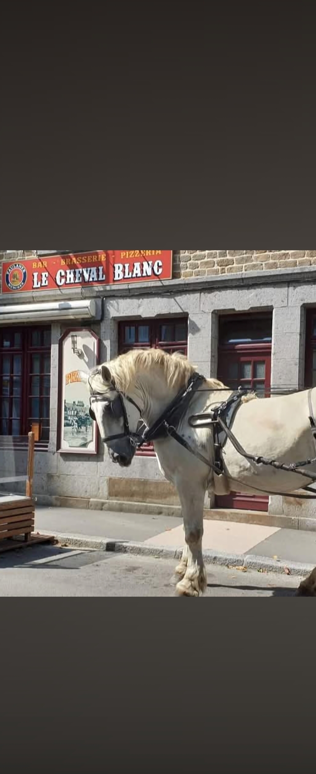 Restaurant avec 30 couverts dedans et 40 dehors sur magnifique terrasse ,logement au dessus avec 2 chambres ,une salle d'eau wc, un salon_ salle à manger ,une cuisine ouverte. 
Au deuxième étages : 4 belles chambres ,une grande salle d'eau wc ,grand penderie .