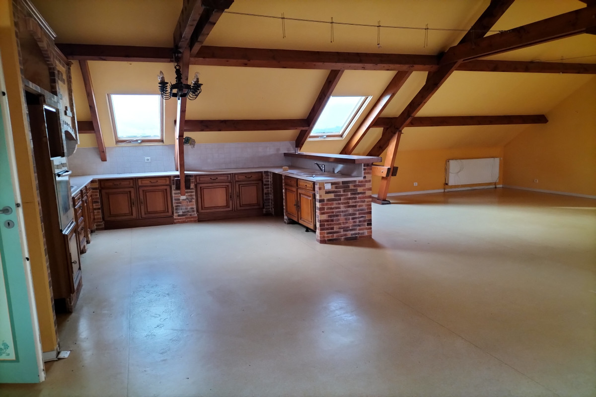 Bâtiment de 480m2 comprenant a l'étage un  appartement de 160m2 pièces commercial de 160m2 et un sous-sol de 160 m2