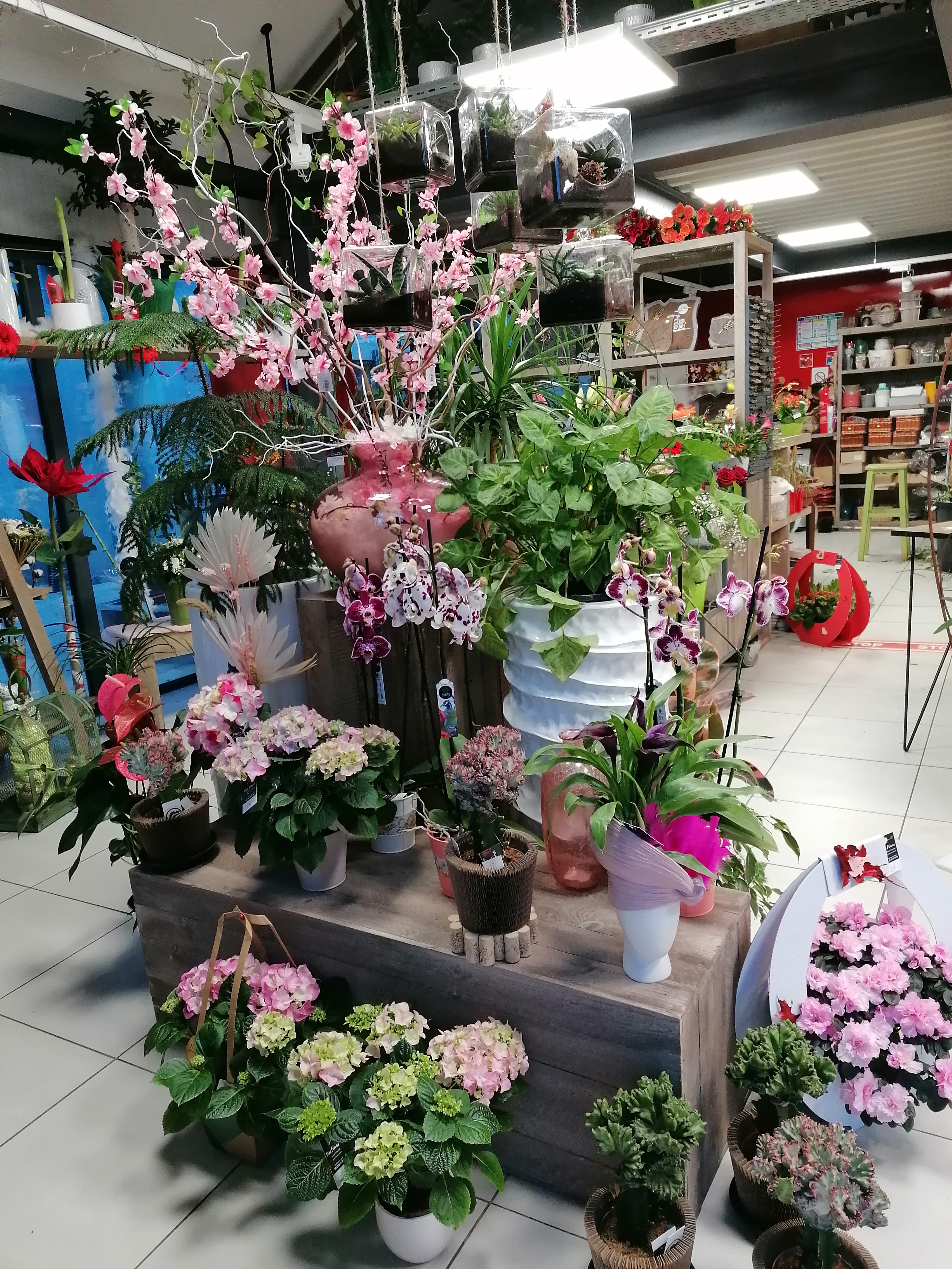 Situé dans la charmante ville de Dun sur Auron, à mi-chemin entre Bourges et Saint Amand Montrond, ce magasin de référence locale offre une occasion unique de pouvoir commencer ou de poursuivre une activité florale dans un environnement agréable et bien équipé.
Ce local conçu en 2017 sur un style industriel , vous pouvez donc profitez d'un établissement récent et fonctionnel.
Surface de vente: 44m2
Atelier: 50m2
Local de réserve: 50m2
Chambre froide
Autres installations: climatisations réversibles, VMC.
Atouts qui font la différence: un grand parking en face de la boutique avec une place de livraison et implanté en centre ville et au beau milieu d'autres commerces