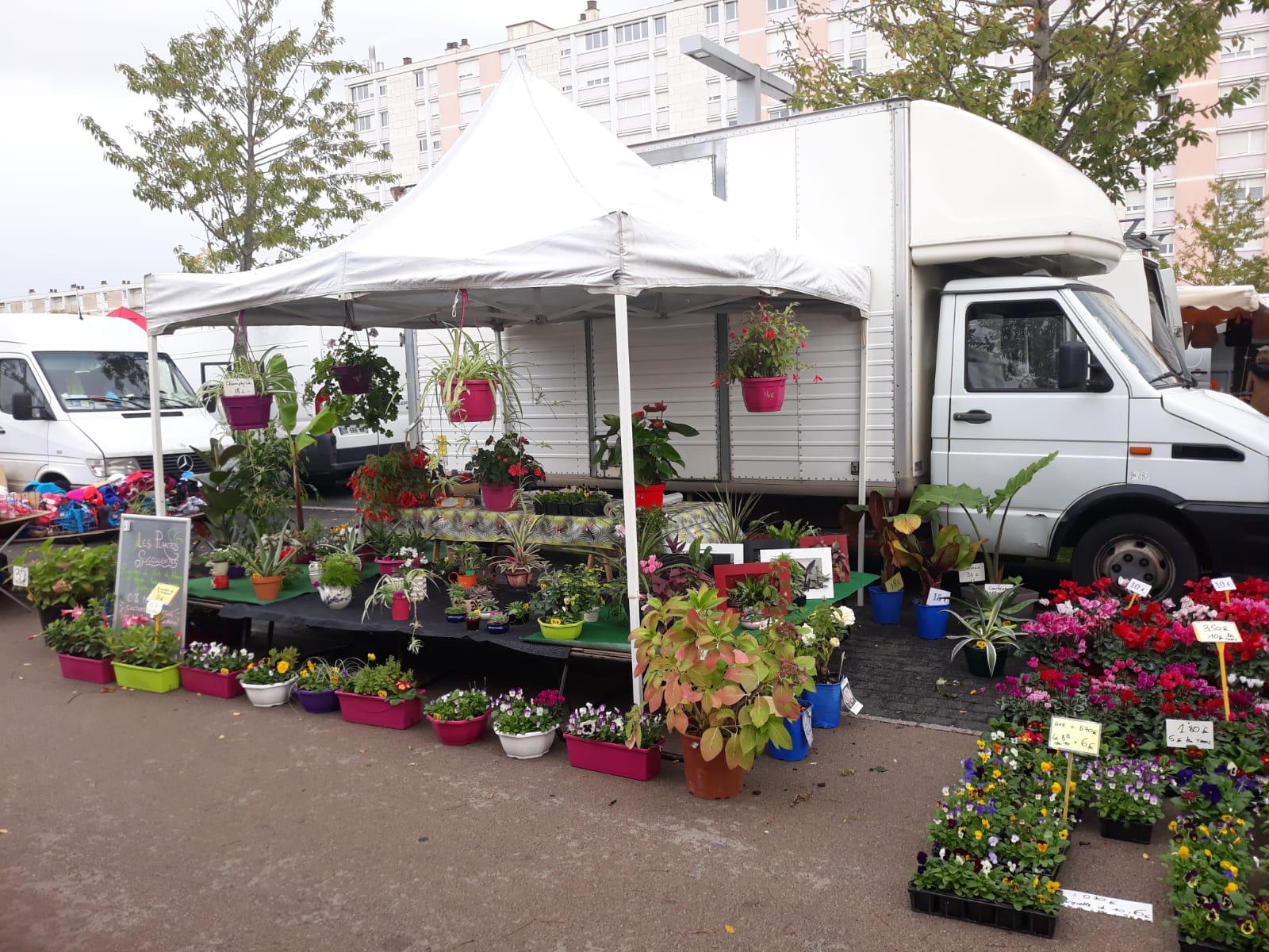 🌸 FERME HORTICOLE 🌸

Sur terrain arboré clos de 2800m² : 3 serres de 1500m² + 1 maison de fonction de 95 m² (wc + sbd + salon / séjour / cuisine ouverte + 2 chambres + 1 bureau  ---  possibilité d'agrandissement)

Situé sur la commune de LES ORMES (86220) 
20 km au sud de Ste Maure de Touraine
20km au nord de Chatellerault

Activités : production de plants de fleurs vivaces et annuelles, production de plantes aromatiques et médicinales, production de plants de légumes sous label Agriculture Biologique, petite production maraichère
Paysagerie : création et entretien de jardin / espaces végétalisés, Tonte, Elagage et travail en hauteur, Taille de fructification et d'ornement, entretien de sépultures etc...

Le montant inclus :
Le terrain avec les serres et la maison de fonction
Le droit de vente en direct à la serre et sur les marchés locaux.
Camion Iveco avec hayon + barnums / tables
Matériel horticole + irrigation + poterie + stock de plantes + outillage divers
Site internet vitrine (possibilité de le rendre marchand) + ligne professionnelle
Le label Agriculture Biologique sur les plants de légume et la partie maraichage.