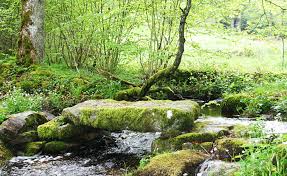 Au coeur du Parc Naturel Régional de Milevaches en Limousin,
à 1h de Limoges, le restaurant-bar la Feuillade est à reprendre.
Véritable lieu de vie dans le centre-bourg, de nombreux clients
s'y cotoient. Du fait de sa proximité avec le lac de Vassivière,
l’établissement peut compter en plus de sa clientèle habituelle,
d'un flux touristique à la belle saison (pouvant aller à 100 couverts
l'été).
Ce commerce de proximité propose une restauration de type
ouvrière et bistronomique en période estivale et accueille de façon
régulière des repas de groupes, du lundi au samedi. Potentiel de
développement avec activités complémentaires (FDJ, traiteur)
Cuisine équipée 
Salle de restaurant de 50 couverts
Une terrasse agréable à l'arrière du bâtiment permettant de doubler la capacité d'accueil 
Pas d'investissement à prévoir
Les Gros +
Grand Logement à l’étage 
La commune de Faux La Montagne se situe en FRR (France ruralité revitalisation) ouvrant droit à un régime spécial d’exonérations fiscales.
Loyer: local+appt: 500€