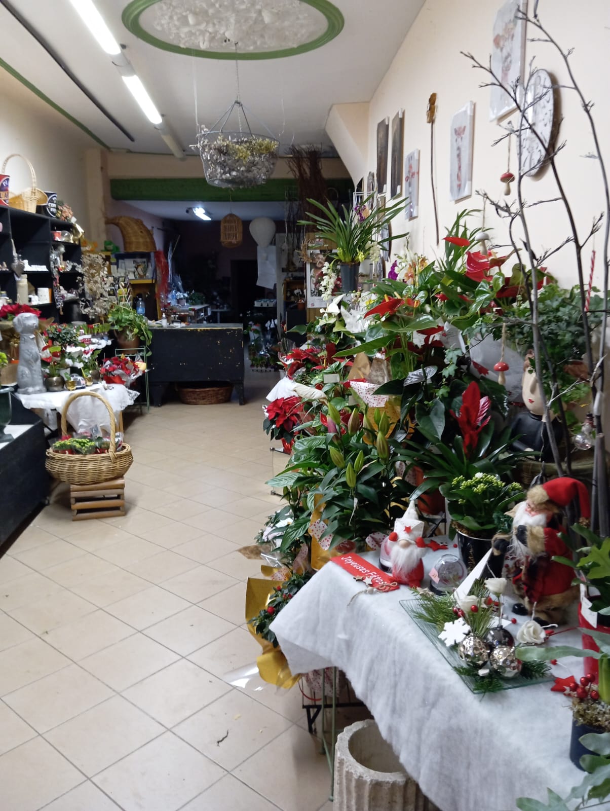 Type d'activité : Fonds de commerce de fleurs
Localisation : place du marché, 26170 Buis les Baronnies
Surface : Local de 70m²
Loyer mensuel : 650€

Description :
Idéalement situé à Buis les Baronnies, fonds de commerce bénéficiant d'une belle visibilité et d'une clientèle fidèle. La boutique dispose d'une jolie vitrine, d'un espace de travail fonctionnel et d'une zone de stockage (20m²).

Equipement inclus :
Chambre froide, présentoirs, mobilier, imprimante deuil...
Stock inclus selon accord.

Motif de la vente :
Départ à la retraite.

Affaire clé en main idéale pour un(e) passionné(e) !