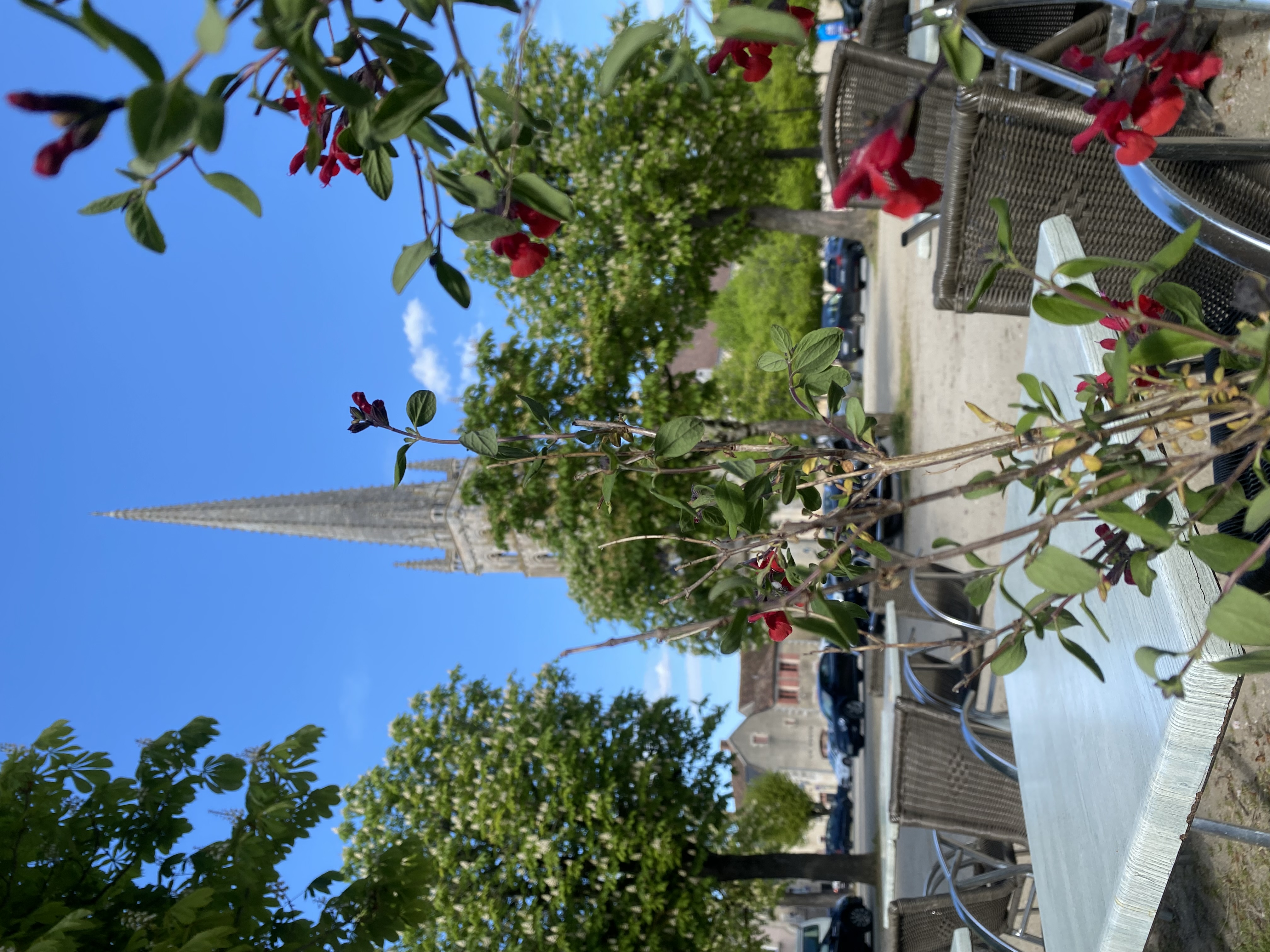 Offre à saisir restaurant Modern snack sur la place de saint Savin face à l’abbaye classée au patrimoine mondial de l’UNESCO forte affluence touristique local prêt à travailler
 ( cuisine bien équipée )salle intérieur 28 places bar 18 places terrasse exploitée d’avril à septembre 150 places . Exploité seulement 6 mois , chiffre d’affaire à faire évoluer rapidement 
Chiffre d’affaire sur rdv 105 K€ / 120K€ 
6 mois 
Très fort potentiel 
Loyer très faible 

0614450265