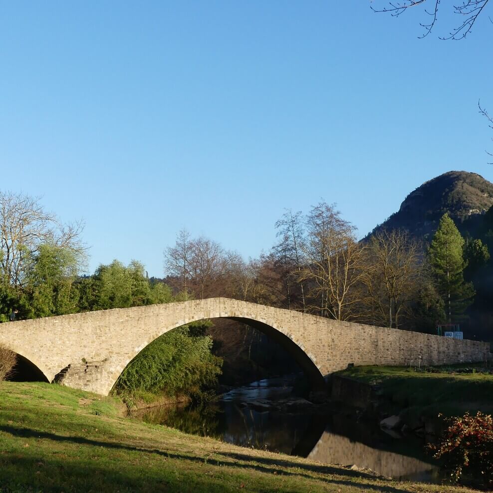 Le Café de Serres (11 190) en Haute-Vallée de l'Aude cherche repreneur-se, pour un nouveau départ !

Au cœur du pays Cathare entre Corbières et Pyrénées, ce secteur touristique offre de nombreuses activités : thermalisme, randonnées, gastronomie occitane et catalane, route des vins, histoire romaine, cathare et templière, spéléologie, escalade, sports en eaux vives, forteresses royales…

Depuis 2009, le Café de Serres a accueilli concerts, spectacles de théâtre ou cabaret, scènes ouvertes, apéro-concerts, conférences, expositions et soirées conviviales ou débats à thème : une cinquantaine d’événements par an, pour une jauge de 70 en intérieur et 150 en terrasse.

Les principales surfaces exploitables sont : la salle café-restaurant avec sa belle cheminée et un espace bar 75 m², la terrasse 120 m², la cuisine professionnelle équipée et fonctionnelle et ses annexes 40 m².
Proche du lac et du château d'Arques, le bien comporte au premier étage un hébergement de 3 chambres qui peuvent être exploitées en chambres d'hôtes pour une capacité de 8 couchages et au deuxième étage un espace privatif de 60 m².

Le site dispose également d'une terrasse ombragée, d’un bel espace de verdure et d’un potager bio avec son accès à la rivière.
La licence IV et le matériel professionnel sont compris dans le prix de vente.

Dans le cas d'une reprise d'activité en programmation artistique, nous pouvons vous accompagner afin de faciliter la reprise.

Idéal pour des personnes en quête de changement professionnel et de grands espaces !