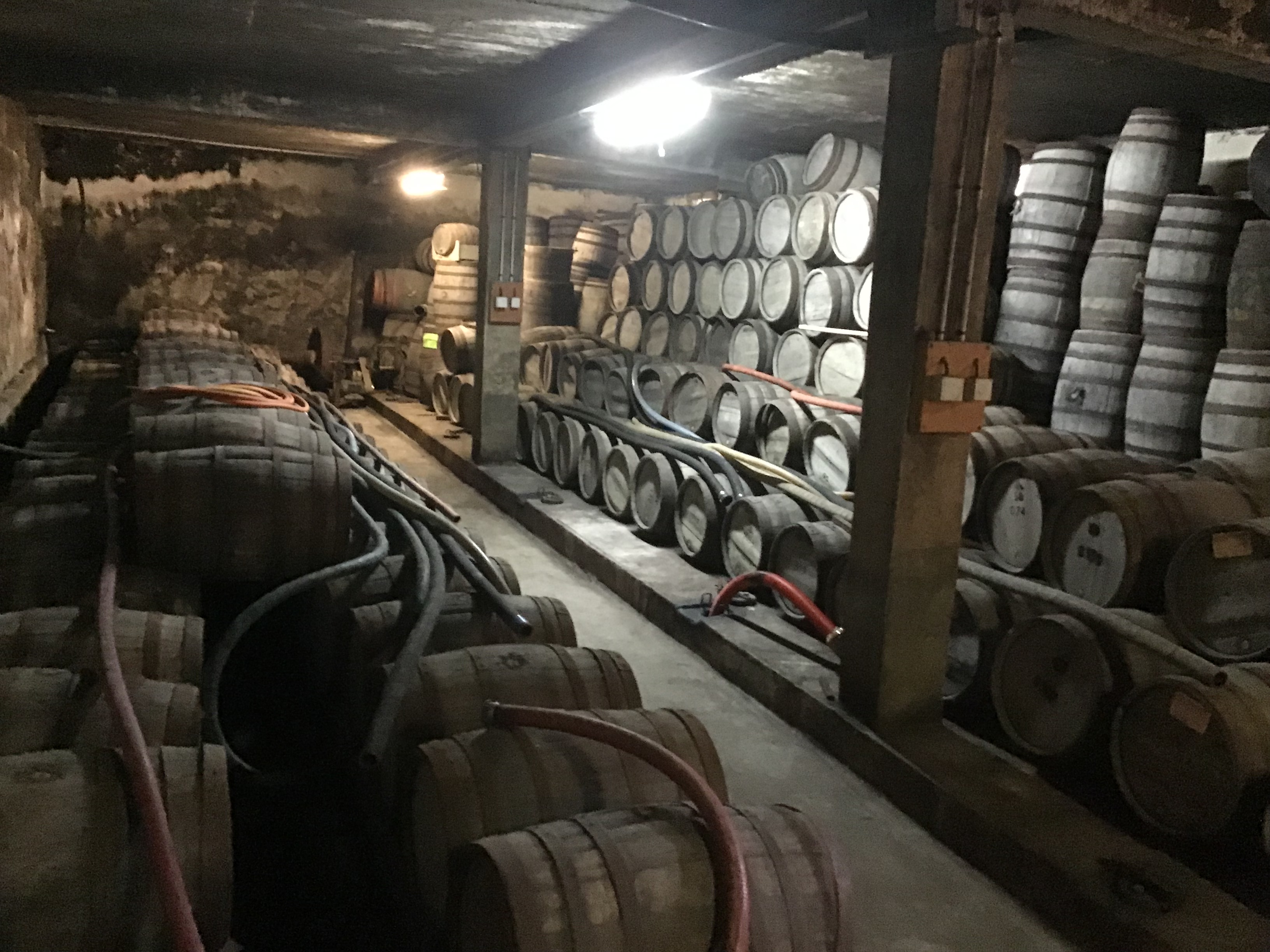 URGENT.                                                                                                               Cause retraite, À VENDRE exploitation cidricole  labellisée BIO marque dépose «  LES VERGERS DU PÈRE ERNEST »  production de cidre, jus de pomme, vinaigre de cidre ,  vend les locaux d’entreposage et fabrication situés à DOLLON , matériel de fabrication et stockage clientèle  de grandes surfaces, magasins BIO  mise à disposition de vergers de  1000 pommiers environ   Pour plus d’informations  CONTACTEZ  madame LEGRET  Viviane  au 0243932191