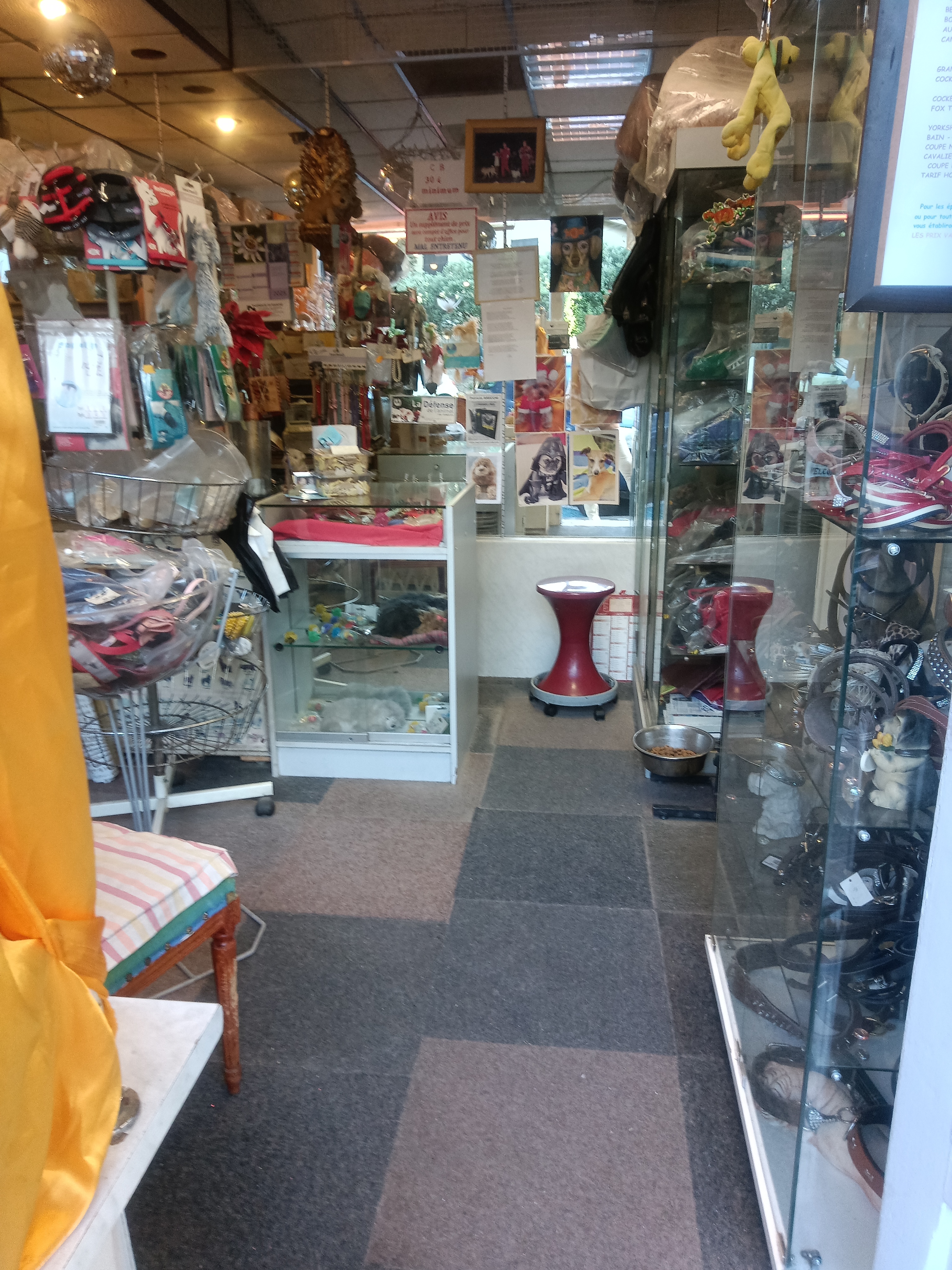 Salon de toilettage historique – Opportunité rare à 130 000 €
Description du bien :
À vendre à La Seyne-sur-Mer (Var), l'ensemble Murs et Fonds de commerce d’un salon de toilettage canin de grande renommée, tenu avec succès par le même exploitant depuis 37 ans.
D’une surface de 27 m², ce local climatisé bénéficie d'une excellente visibilité et d'une clientèle locale solidement établie. Grâce à son emplacement et son aménagement, ce local offre également une visibilité et une possibilité pour tout autre type de commerce.
Équipements et prestations :
• Climatisation installée pour le confort thermique toutes saisons.
• Esthétique soignée avec une bâche neuve sur la façade.
• Sécurité optimale assurée par un store métallique motorisé.
• Local entièrement équipé pour l'activité de toilettage (prêt à travailler immédiatement).
Accompagnement et transmission :
• Clientèle fidèle et historique sur près de 4 décennies.
• Transition sereine : Le cédant propose un suivi et une formation si nécessaire pour accompagner le repreneur dans sa prise en main et lui transmettre les spécificités de la clientèle.
Prix de vente (Murs et Fonds inclus) : 130 000 €